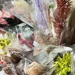 【商品説明必読】※1箱 1000円～【プリザーブドフラワー＆ドライフラワー】の画像