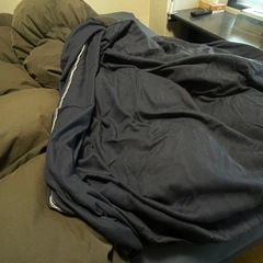 羽毛布団　ダブルロングサイズ　ポーランド産ホワイトマザーダウン93％ にほんせい日本製　　の画像