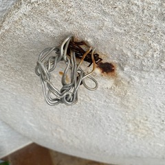 ガーデン飾り石もの(レリーフ)の画像