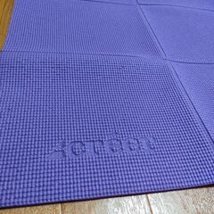 ヨガマット 長さ170cm 幅61cm 厚さ5mm やわらかめ パープル 専用袋付きの画像