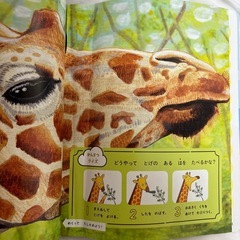 こどもチャレンジ絵本４５歳用10冊セットの画像