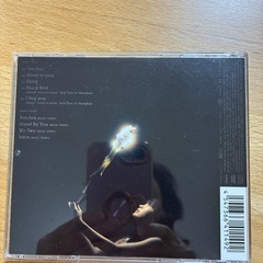 Torches / Aimer の画像