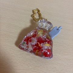 11／1日までの出品❣️こちらの金額で🙏🏻🌸新品🌸金魚袋にのかってる猫ちゃん.キーホルダーの画像