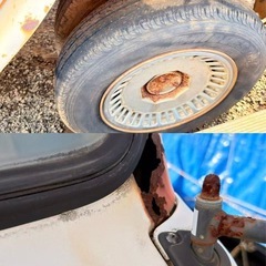 マツタトラクの画像