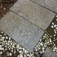 ※取引中【応募者多数の為、お取引する方に返信します】庭石②の画像