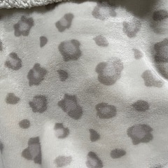 ペットが入れる膝掛け（ニトリ商品）の画像