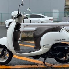 【学生人気⭕️程度良好🔥】ホンダ ジョルノ AF77 ホワイト【外装も綺麗な一台です✨】の画像