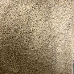 令和7年度産　新米ハツシモ　30キロ　1等米級　減農薬　有機肥料の画像