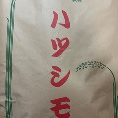令和7年度産　新米ハツシモ　30キロ　1等米級　減農薬　有機肥料の画像