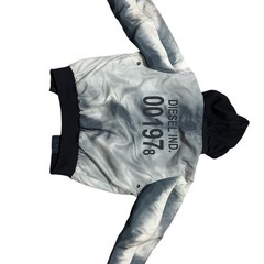 DIESELパーカーの画像