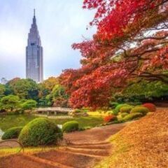 40・50代 ガーデン♪ ～1人参加～【新宿】💖