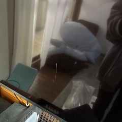 【大阪南部配送可】Panasonic VIERA 49型　TH-49GX850の画像