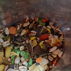 ハムスター　飼育セット！！ケージ、餌、トイレ砂、回し車の画像