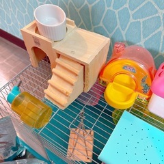 ハムスター　飼育セット！！ケージ、餌、トイレ砂、回し車の画像