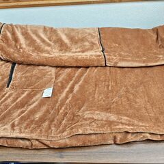 【未使用】Hanlanni 電気毛布 大判160×80 肩掛け 膝掛け USB給電の画像