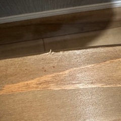 お取引中☆サリュ♩サーフボードテーブルの画像