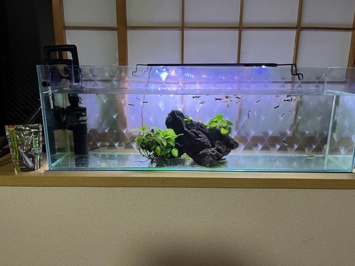 11月29日までの出品！水槽セット