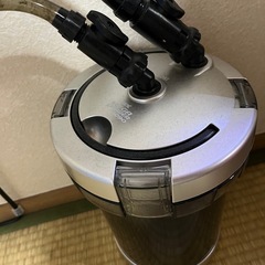 水槽生体セットの画像