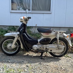 リトルカブの画像