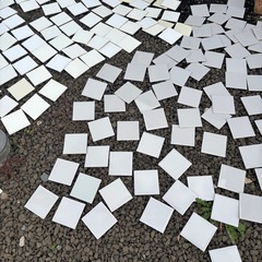 タイル　約10×10㎝　50枚+オマケ　ホワイト系の画像