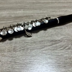 フルート・ピッコロ教室【Kana Flute Lesson】の画像