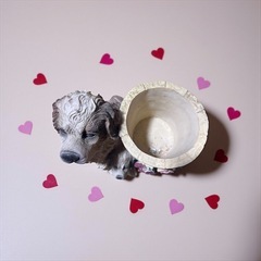 犬の置物　小物入れの画像