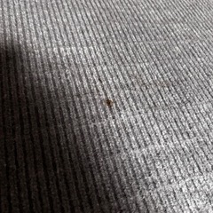 ホットカーペットの画像