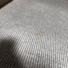 ホットカーペットの画像