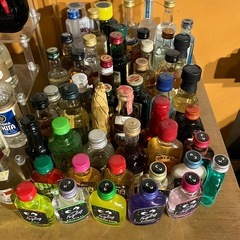 ミニボトル110本セットの画像