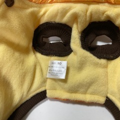 ペット衣類の画像