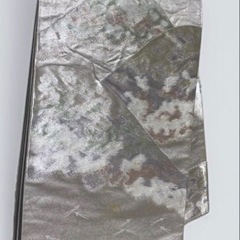 袋帯　ゴールド　シルバー2点　着物付きの画像