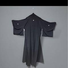 袋帯　ゴールド　シルバー2点　着物付きの画像