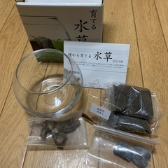 【お話し中】育てる水草キットの画像