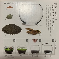 【お話し中】育てる水草キットの画像