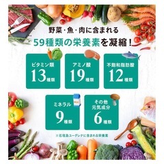 【新品・未開封】からだにユーグレナ グリーンスムージー 乳酸菌 15本入 ユーグレナ 砂糖不使用 野菜ジュース 乳酸菌飲料 子ども ビタミン ミネラル 食物繊維の画像