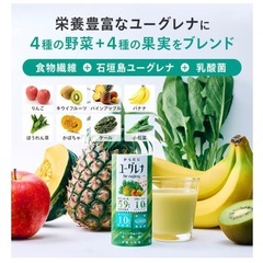 【新品・未開封】からだにユーグレナ グリーンスムージー 乳酸菌 15本入 ユーグレナ 砂糖不使用 野菜ジュース 乳酸菌飲料 子ども ビタミン ミネラル 食物繊維の画像