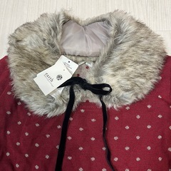 earth music&ecology♢Fサイズドット柄ニットワンピースファーの画像