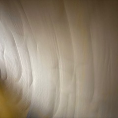 マットレスの画像