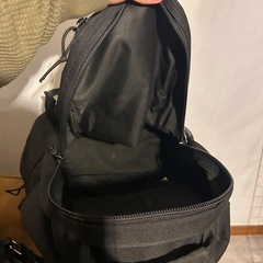 Carharttリュックの画像