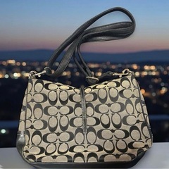 coach コーチ　ハンドバッグ　L22　6091の画像