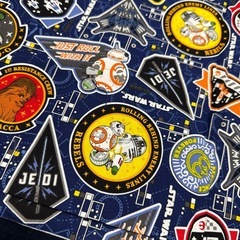 入学　入園　バックスターウォーズ　布の画像