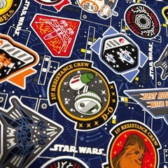 入学　入園　バックスターウォーズ　布の画像