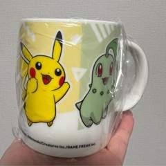 ポケモン（ピカチュー、チコリータ、ワニノコ、ポカブ）マグカップの画像