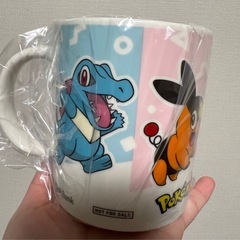 ポケモン（ピカチュー、チコリータ、ワニノコ、ポカブ）マグカップの画像