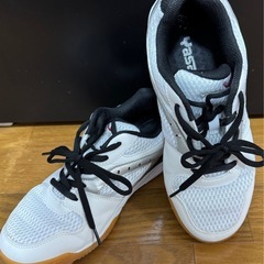 ヤサカ 卓球シューズの画像