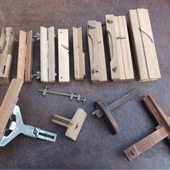 カンナ色々の画像