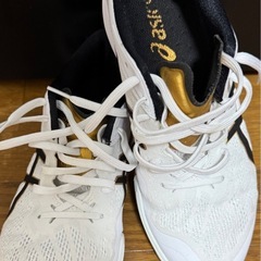 商談中…卓球シューズ2種類の画像