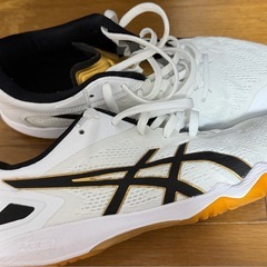 商談中…卓球シューズ2種類の画像