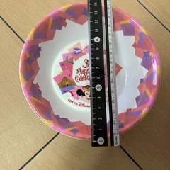 ディズニー2枚セット
の画像