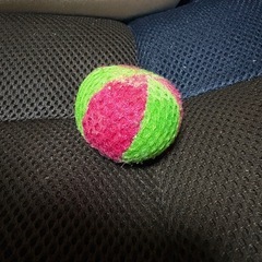 このボール知りませんか？　助けてください。